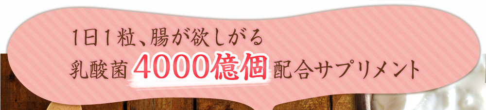 １日一粒腸が欲しがる乳酸菌4000億個配合サプリメント